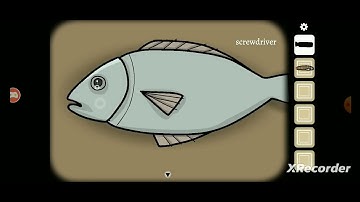 Starting of Something similar | Cube Escape Paradox