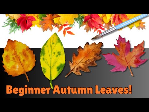 Simple Watercolor Autumn Leaves | Beginner-Friendly Painting Guide