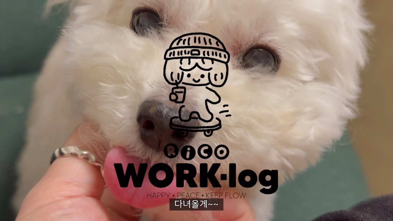 나의 솔직한 일상 99가지(중 일부) 소공개 l RiCO WORK LOG