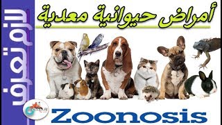 Zoonosis |أمراض حيوانية معدية | طرق العدوي | أشهر الامراض | امراض القطط| لازم تعرف