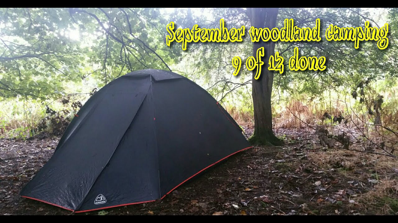 Wild Woodland Camping In Stormy November Weather Youtube