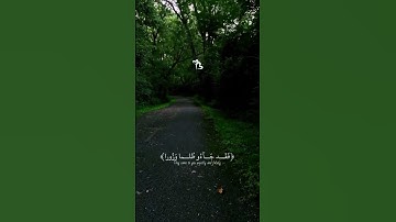 قران كريم بصوت جميل القارئ عبد الرحمن مسعد #اكتب_شي_تؤجر_عليه #راحة_نفسية