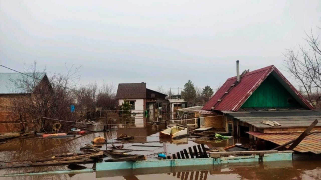 Еще четыре поселка ушли под воду в Новосибирской области. Людей срочно эвакуируют