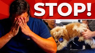 Vet Reacts To AWFUL Animal Chiropractor