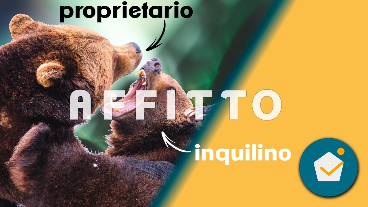 Affitti in Italia:  Quali sono i diritti e i doveri di inquilini e proprietari?