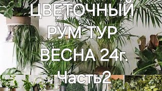 :     24. 2