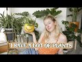 my overly large plant collection 2021 | indoor houseplants + best plants for beginners