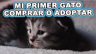 ¿QUÉ NECESITO PARA MI PRIMER GATO 🙀? / ¿COMPRAR O ADOPTAR? 🤷🏻‍♂️ by Karin con Pollo  510 views 3 years ago 7 minutes, 58 seconds