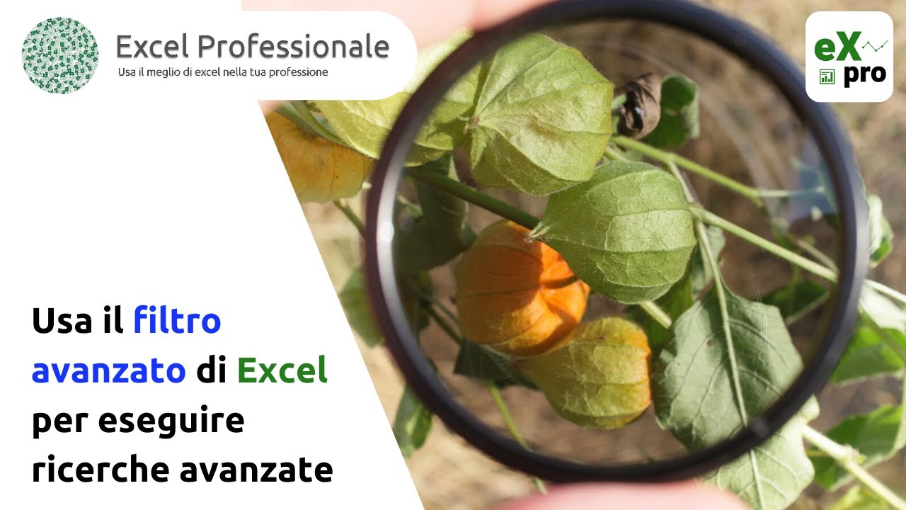 Usa il filtro avanzato di Excel per eseguire ricerche avanzate