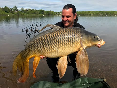 Carp Run Compilation!