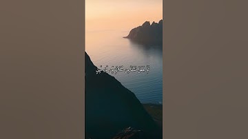 واتس اب قران كريم القارئ ياسر دوسري (سوره السجدة)