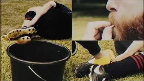 Shrug Life - First World Problems