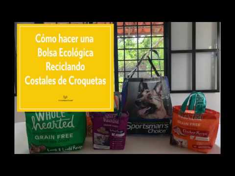 Video: Sacos En Forma De Bolsa En La Pared Esofágica En Perros