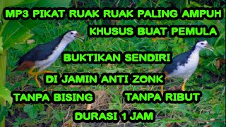 SUARA MP3 RUAK RUAK KHUSUS SIANG DAN MALAM, AUTO DAPAT