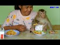 Smart Monkey Kako Testing KFC Fried Chicken Legs With Potato