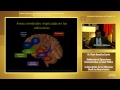 La Descripción de las Adicciones Desde las Neurociencias - Dr. Mario González Zavala - 09/09/2014
