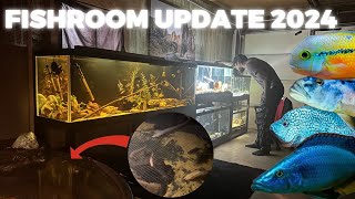 COMPLETE FISHROOM UPDATE!! NEW FISH, FUTURE PLANS