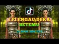 Dj Lelengau Deka Betemu ( Juliana Maring ) Lagu Iban Malaysia Remix Dj Iban Terbaru 2023