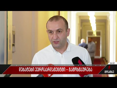 დებატები ევროპარლამენტში - გამოხმაურება