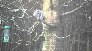 DSCF1310.AVI