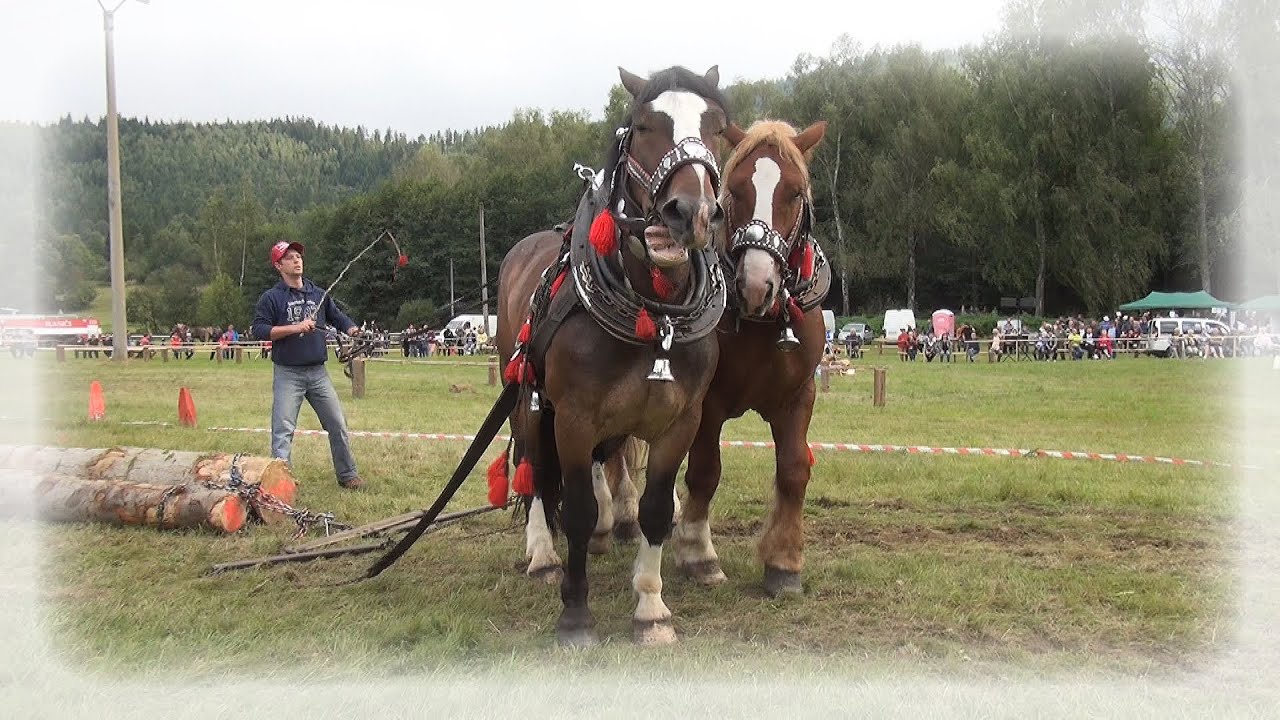 Švedlár 2019   Práca s kladou
