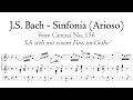 Bach  arioso sinfonia from cantata bwv 156 organ transcription  metzler organ poblet