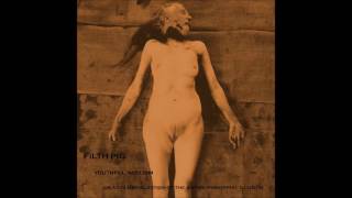 Filth Pig - Youthful Nihilism (Full Album) 2016 Raw Industrial Metal