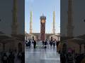 يا دار طيبة يا سكن خير الأنام فيك المحبة والسكينة والسلام المدينة المنورة المسجد النبوي السعودية