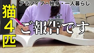 【50代女性ひとり暮らし】保護猫カフェへの思いと進捗、今後について