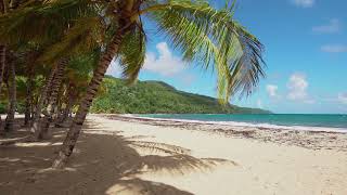 Bora Bora Beach Escape | Pull up your beach chair and relax | 4K