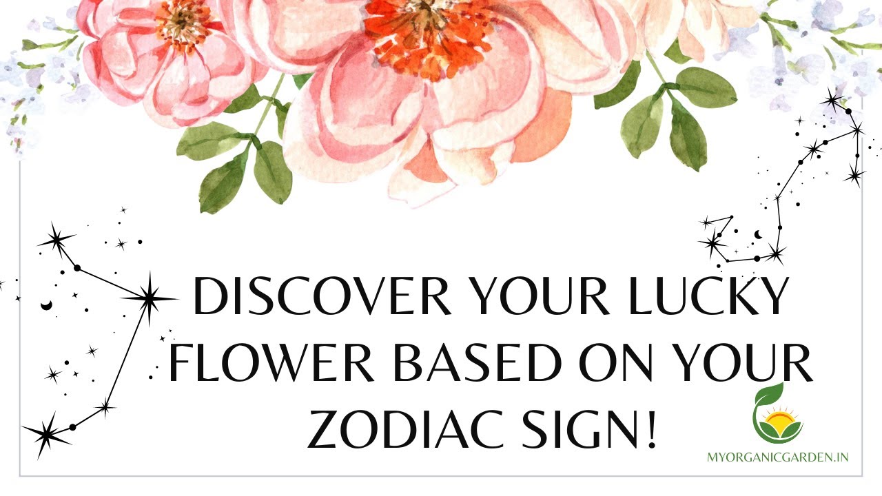 Discover Your Lucky Flower Based on Your Zodiac Sign!