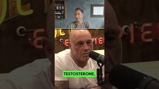 Is this why men have low testosterone?