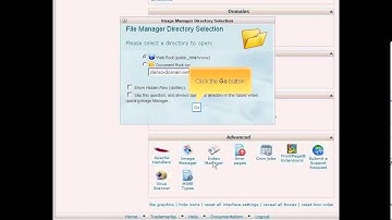 Using the index manager