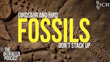 Dinosaurs with Bird Brains???