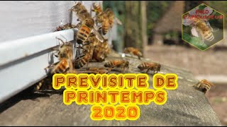 Fred l'Apiculteur -Pré-visite de printemps 2020