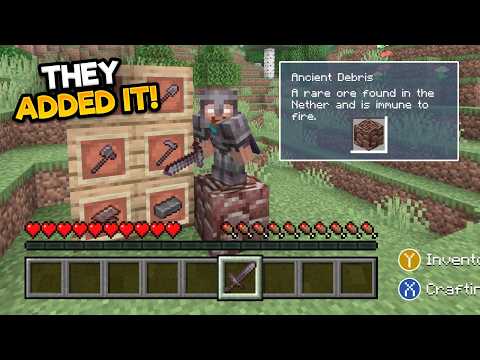 Legacy Console Leak: CROSS PLATFORM & Netherite Added???