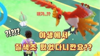 칠색조 - YouTube 칠색조 - Youtube