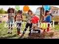 Autumn 2017 - Little Bird by Jools Oliver - Mothercare Ireand