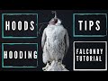 The art of falconry episode 1 hood