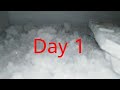 How to build up freezer frost  freezer ice build up in one day huge freezer ice 