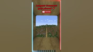 Longest Comment gets pinned...#minecraft #shorts