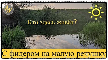 Хочешь бойкую РЫБУ? Рыбалка на реке Свияга