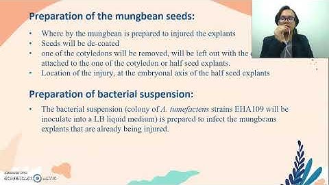 FYP PROPOSAL PRESENTATION- Genetic Transformation of Mungbean with sago palm chitinase II cDNA