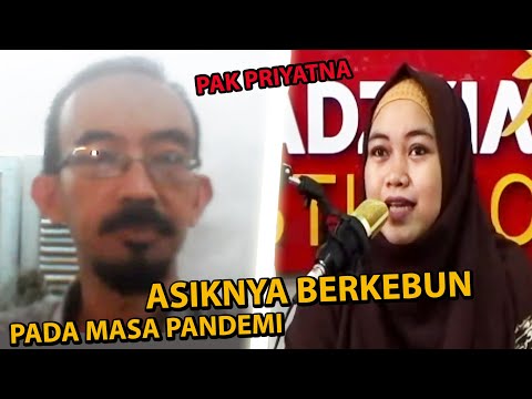 Video: Ekor Bayam, Tumbuh Di Sebuah Apartemen