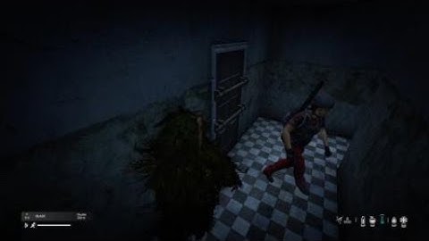 DayZ  :  Double Shot Blaze from Point Blank Range , No Plate Carrier , No Kill .Wtf