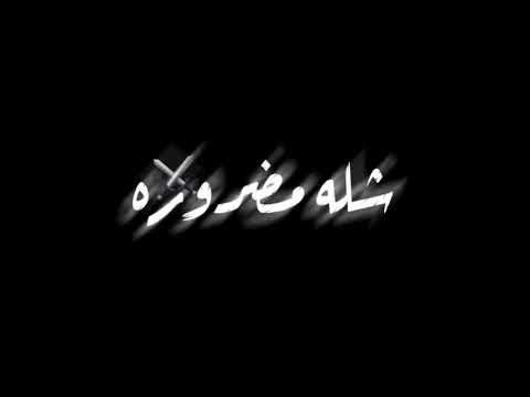 مهرجان شله مضروره لاومغروره حالات واتس