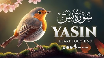 Surah Yasin (Yaseen) for Healing | Relieve Stress, Depression & Anxiety | سورة يس | Noor Al-Quran