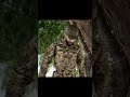 вЂЏЩ ЩЋЩ ШєЩЋЩЉШ Щђ Ш Щ ЩЂЩЂЩ ЩЋЩ ЩЂЩЂЩ Щ ЩЋШ Ш ЩЋШ ШЁЩЋШЄ Ш ЩЏШ Ш Щ ЩЋШ вЂЏ вЂЏЩ ЩЋЩ ШєЩЋЩЉШ Щђ Ш Щ ЩЂЩЂЩ ЩЋЩ ЩЂЩЂЩ Щ ЩЋШ ЩЃЩЋЩ Ш ЩЋ Ш Щ Щ ЩЋШіЩђЩЉШ вЂЏ вЂЏЩ ЩЋЩ ШєЩЋЩЉШ Щђ Ш Щ ЩЂЩЂЩ ЩЋЩ ЩЂЩЂЩ Щ ЩЋШ Ш ЩЋШ ШЁЩЋШЄ Ш ЩЏШ Ш Щ ЩЋШ вЂЏ вЂЏЩ ЩЋЩ ШєЩЋЩЉШ Щђ Ш Щ ЩЂЩЂЩ ЩЋЩ ЩЂЩЂЩ Щ ЩЋШ ЩЃЩЋЩ Ш ЩЋ Ш Щ Щ ЩЋШіЩђЩЉШ вЂЏ