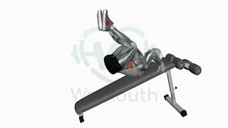 Decline Bent Leg Reverse Crunch