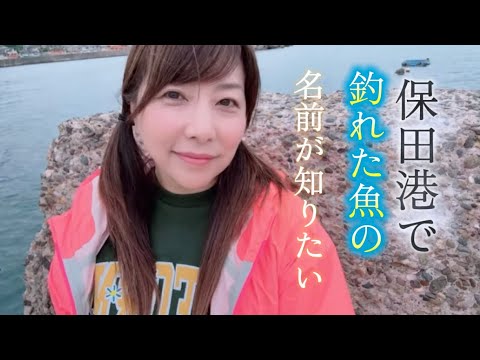 保田漁港の釣果情報【2026年最新】 | 魚速釣果検索